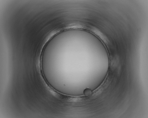 X0000110761282200906151258