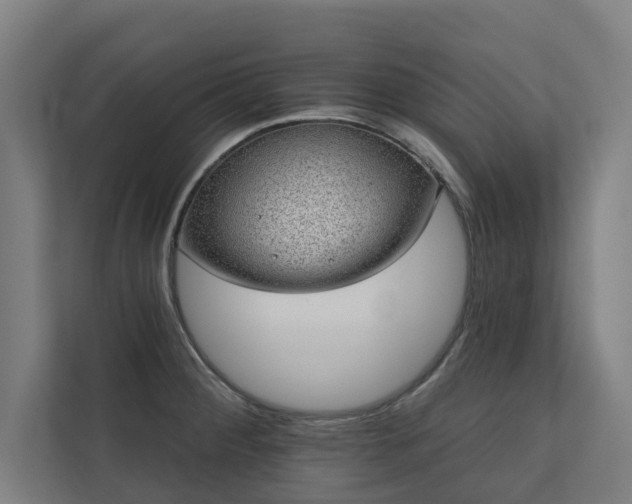 X0000110761284200906151258