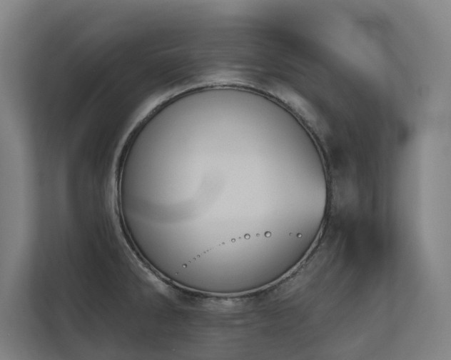 X0000110761286200906151258
