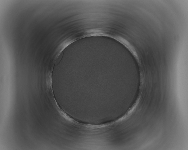 X0000110761289200906151258