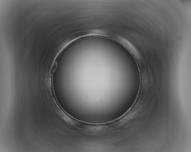 X0000110761292200906151258