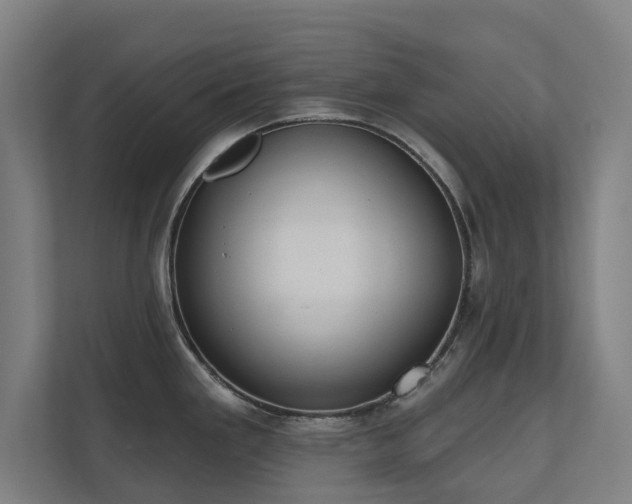 X0000110761293200906151258