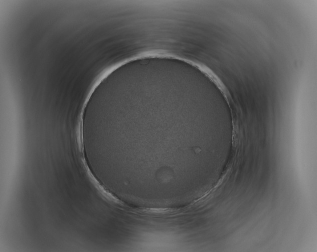 X0000110761295200906151258