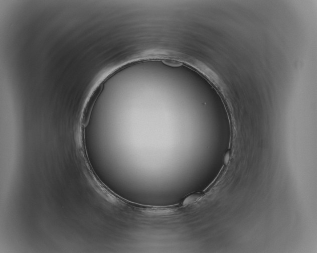 X0000110761296200906151258