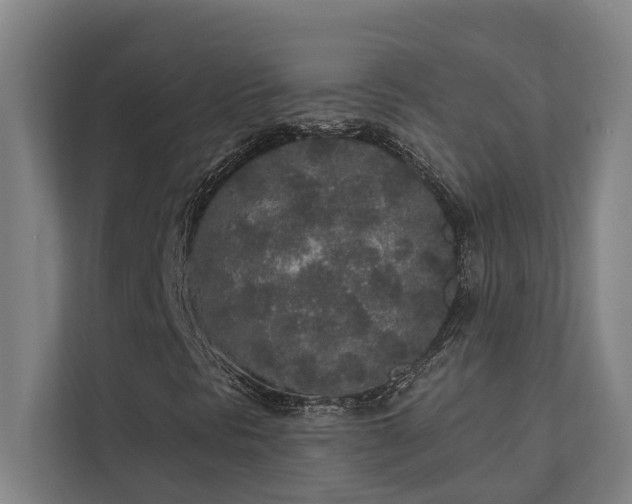 X0000110761297200906151257