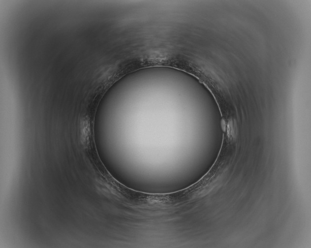 X0000110761299200906151257