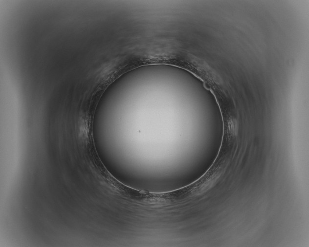 X0000110761300200906151257