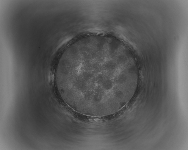 X0000110761302200906151257