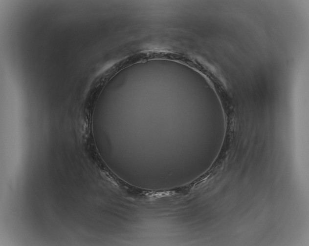 X0000110761303200906151258