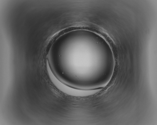 X0000110761304200906151258