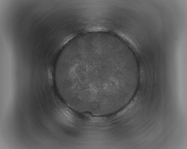 X0000110761305200906151258