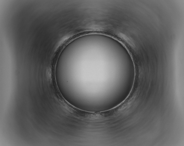 X0000110761307200906151258