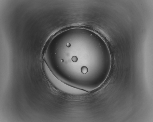 X0000110761308200906151258