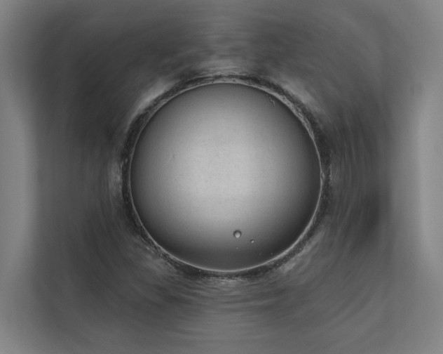X0000110761309200906151258