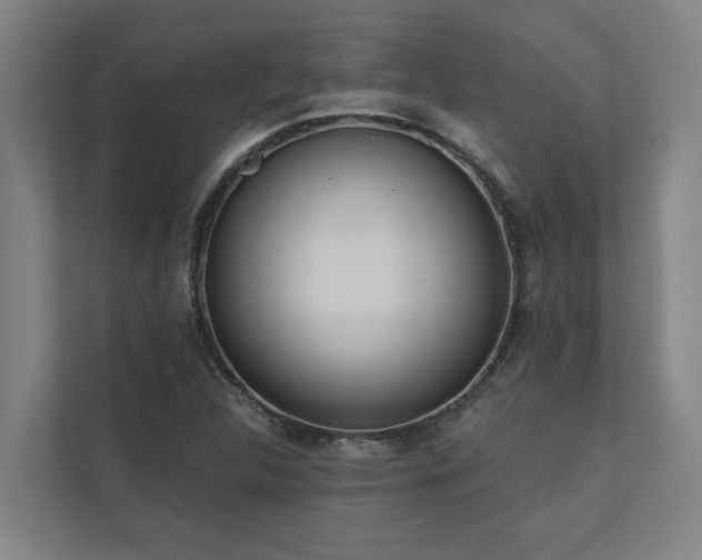 X0000110761312200906151258