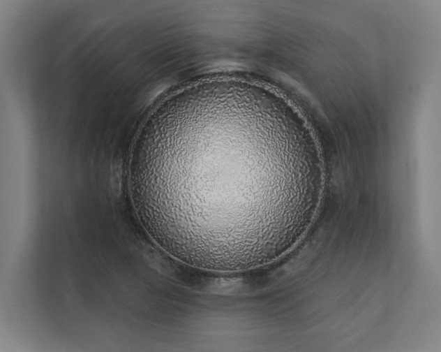 X0000110761313200906151258