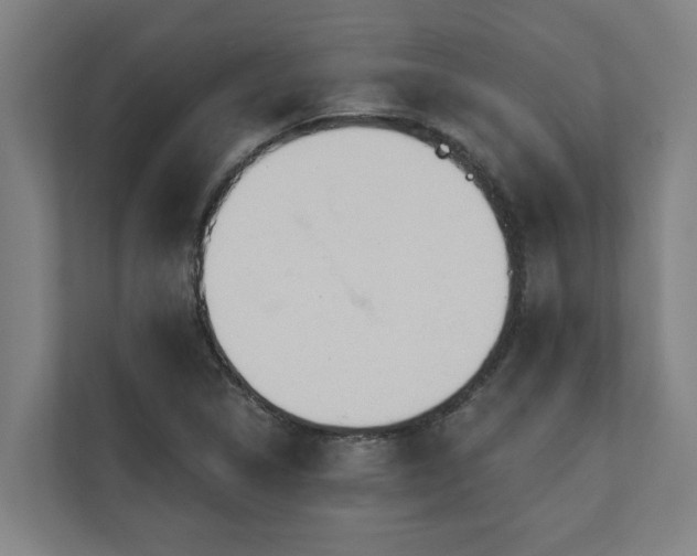 X0000110761314200906151258