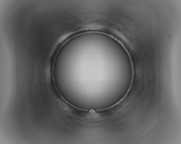 X0000110761315200906151258