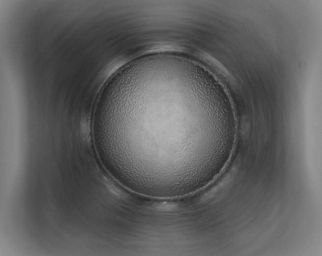 X0000110761321200906151258