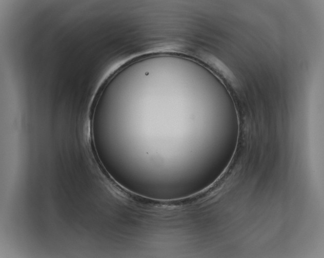 X0000110761324200906151258