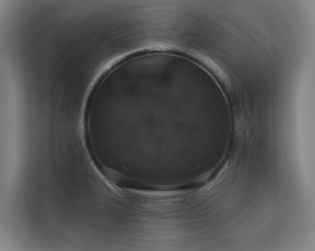 X0000110761327200906151258