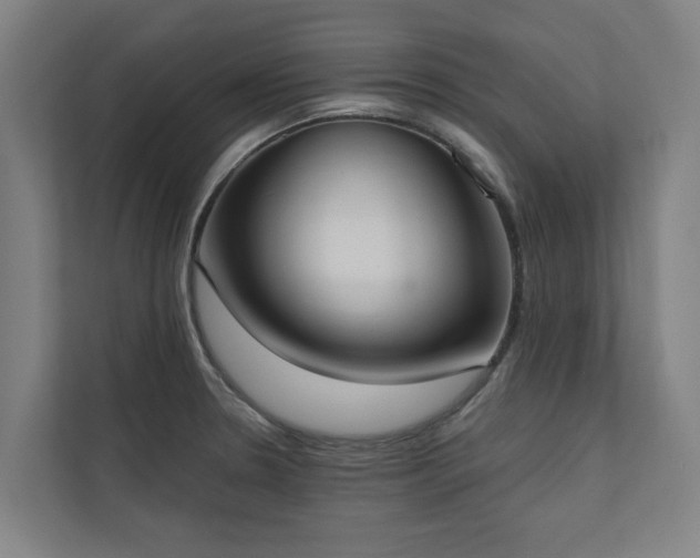 X0000110761330200906151258