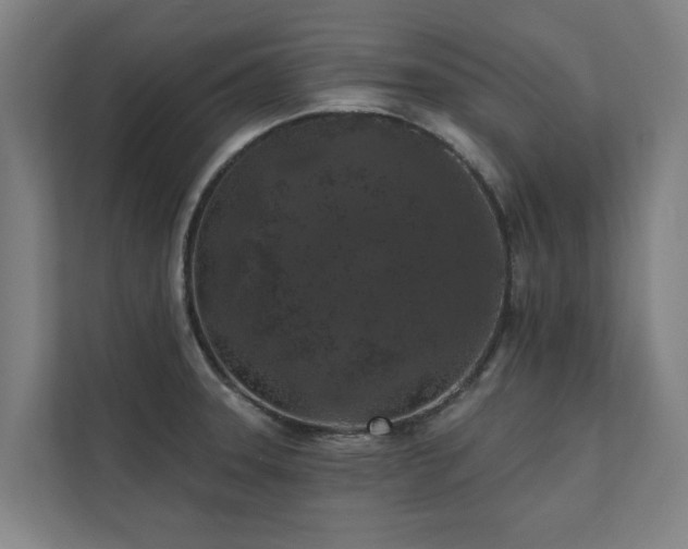 X0000110761331200906151258