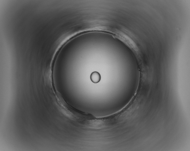 X0000110761332200906151258