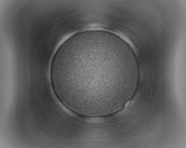 X0000110761333200906151258