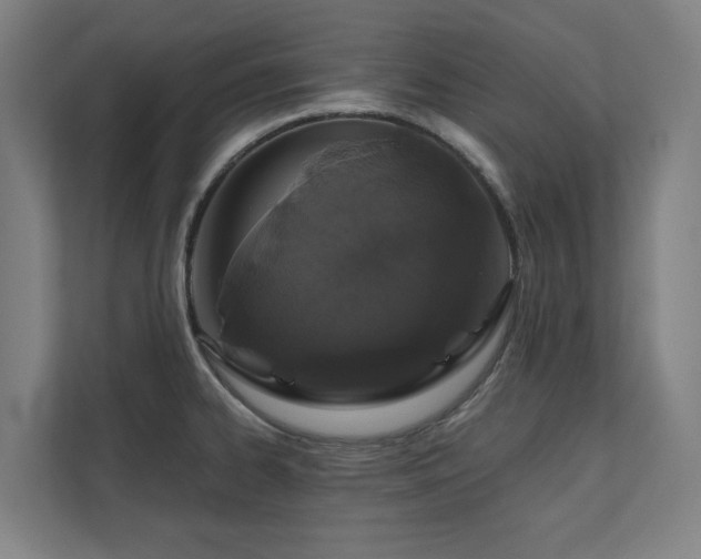 X0000110761334200906151258