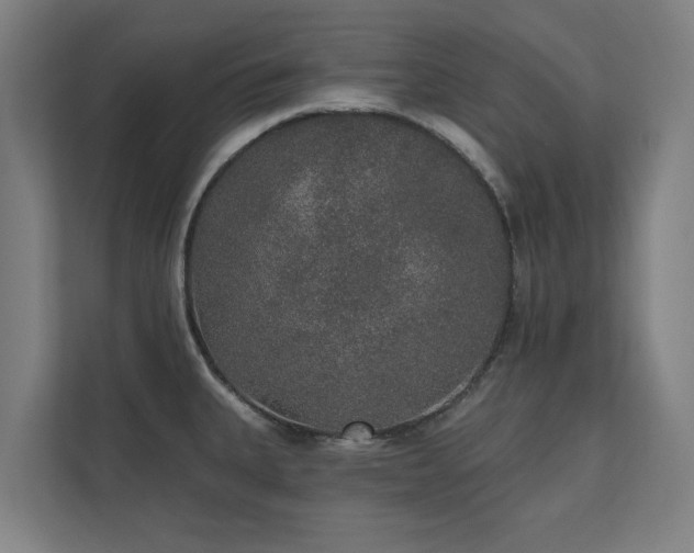 X0000110761335200906151258