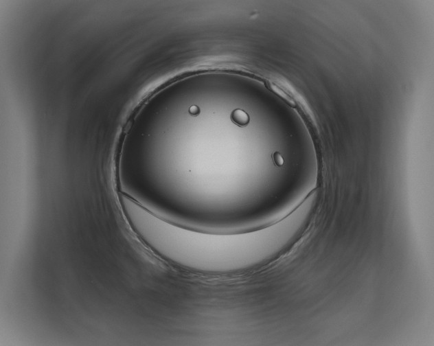 X0000110761336200906151258