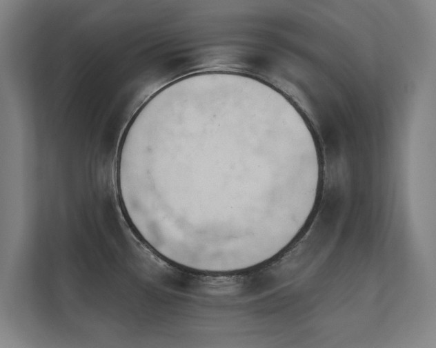 X0000110761338200906151258