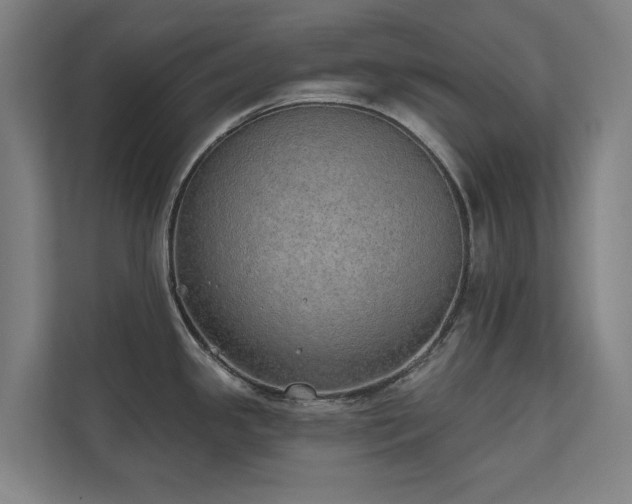 X0000110761341200906151258
