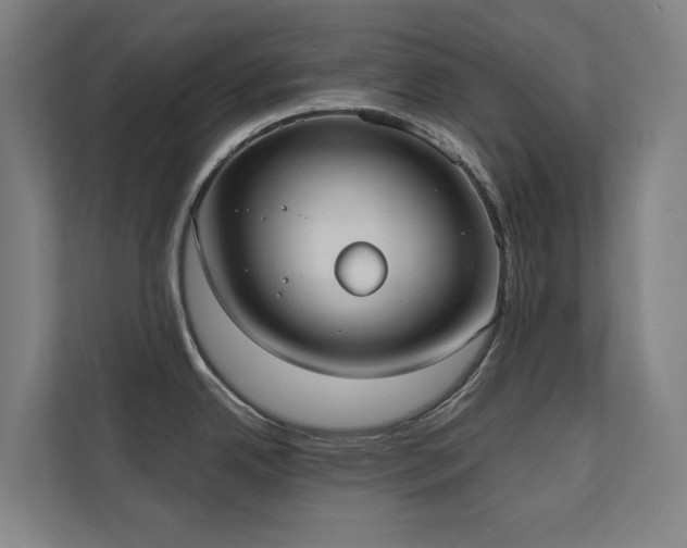 X0000110761342200906151258