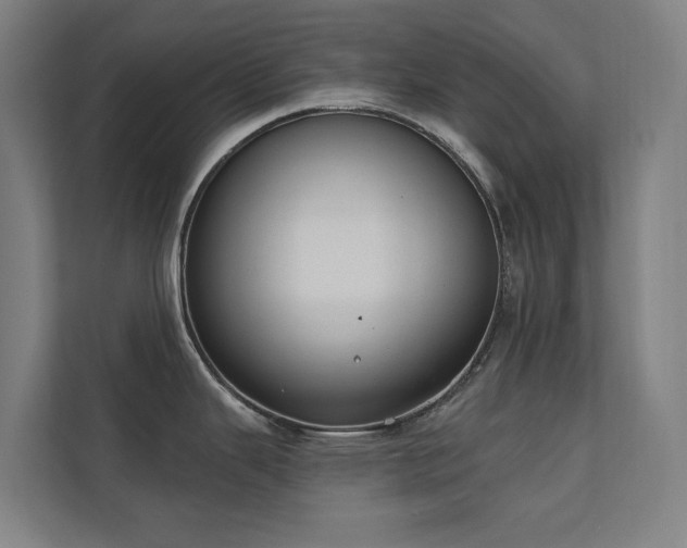 X0000110761343200906151258