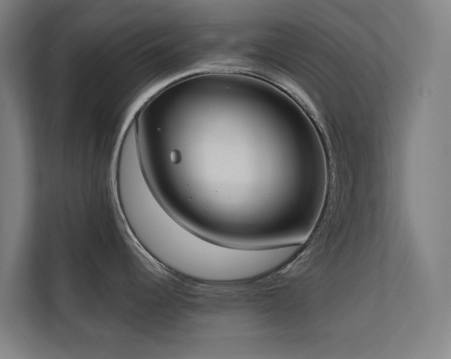 X0000110761344200906151258