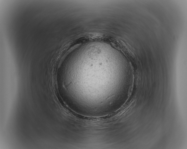 X0000110761345200906151257