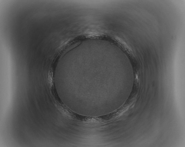 X0000110761348200906151257