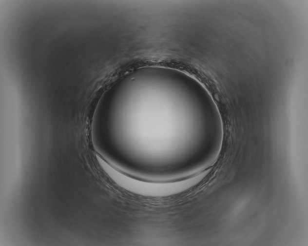 X0000110761349200906151257