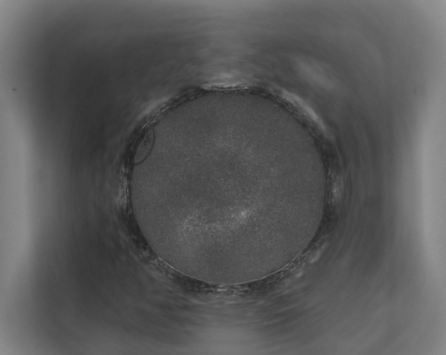 X0000110761350200906151257