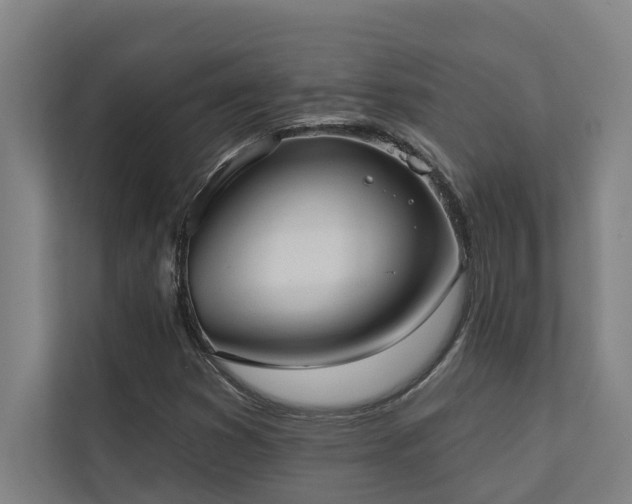 X0000110761353200906151257