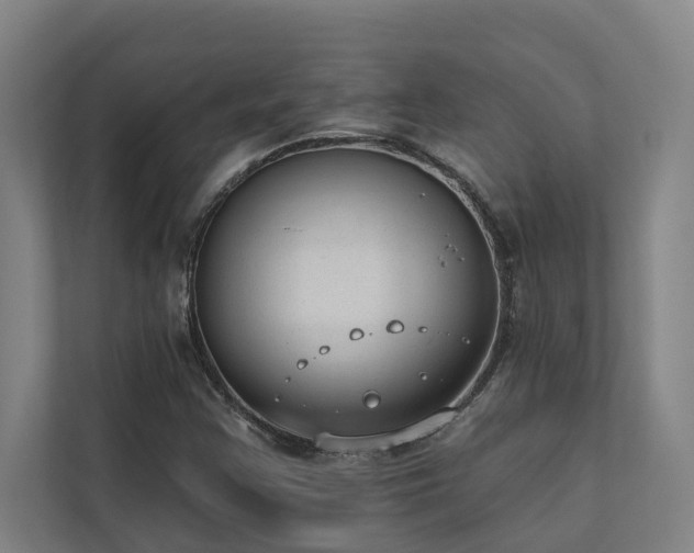 X0000110761355200906151257