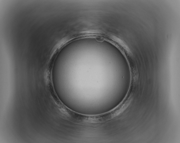 X0000110761357200906151257