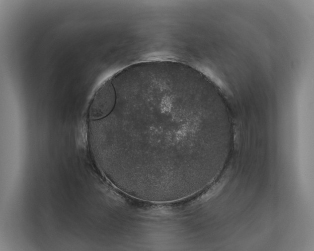 X0000110761358200906151257