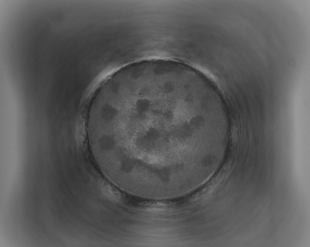 X0000110761359200906151257