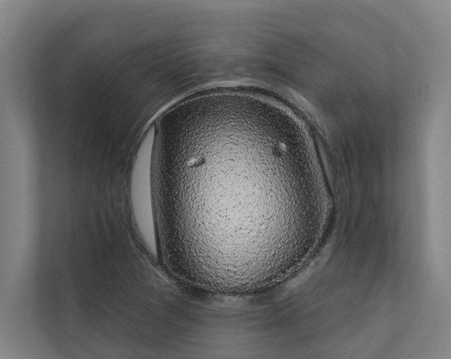 X0000110761361200906151257