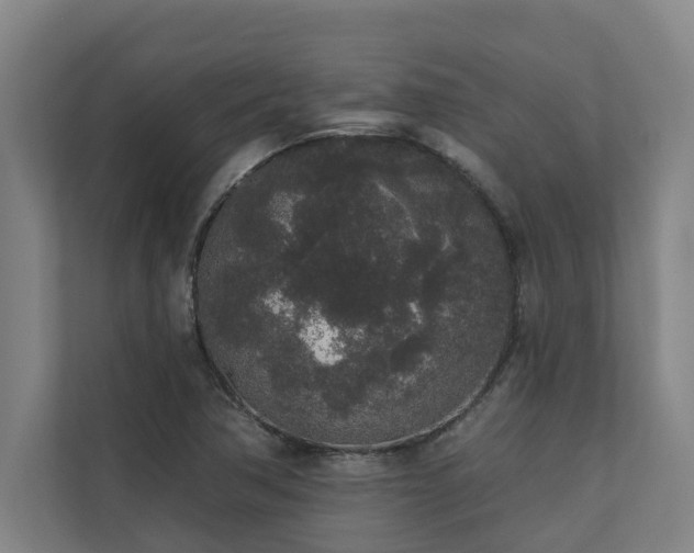 X0000110761362200906151257