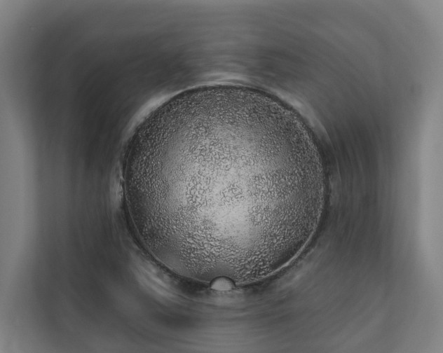 X0000110761363200906151257