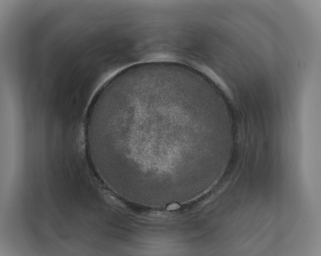 X0000110761364200906151257